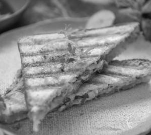 Vegetable Sandwich