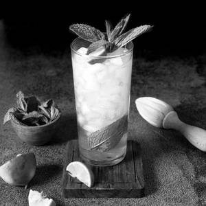 Mint Mojito