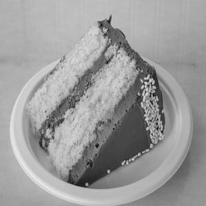 EGGLESS VAN/ CHOC CAKE SLC
