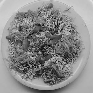 Sev Puri