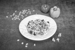 Veg Salad