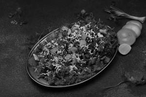 Shiv Sagar Special Veg Biryani