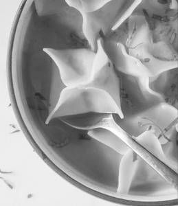 Steamed Pakchoy Dumplings
