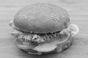 Moroccan Chicken Burger