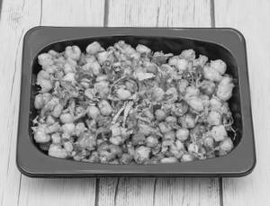 Crispy Corn