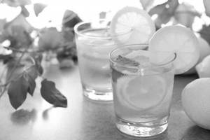 Fresh Lime Juice