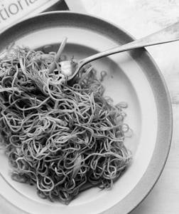 Pan Fried Noodles