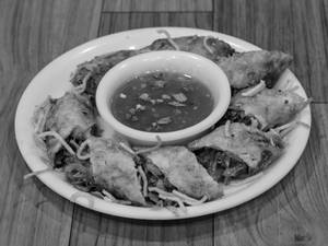 Veg Spring Roll