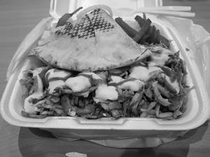 Special Plate Shawarma                                                    