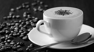 Hot Coffee 250ml
