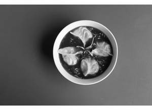 Non Veg Manchow Soup