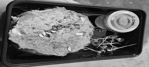 Protein Pancake