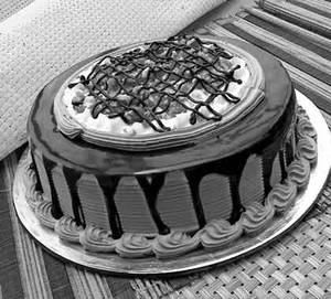 Choco Nova Cake 