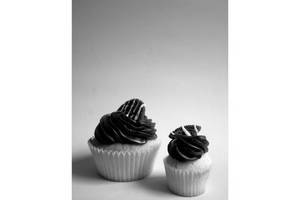 Oreo Cupcake