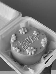 Simple Bento Cake