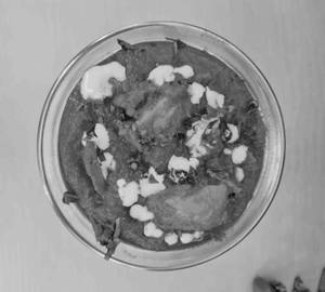 Paneer Masala