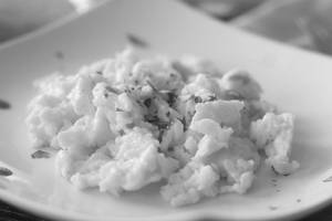 Plain Scrambled Egg