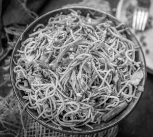 Chicken Hakka Noodles