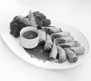 Veg Spring Roll          