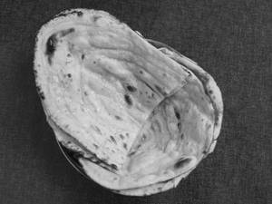 Butter naan