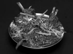 Mutton Adreeke Chaap