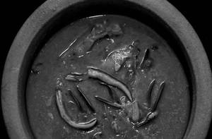 Neymeen Mulakittathu Seer / King Fish