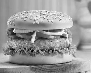 Classic Chicken Burger  