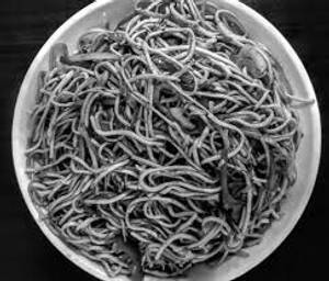 Veg Chowmein