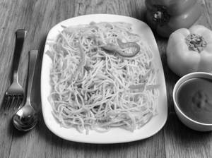 Vegetable Noodles 500gm