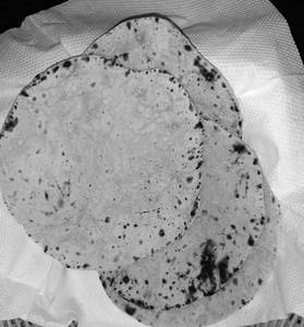 Tawa Butter Roti