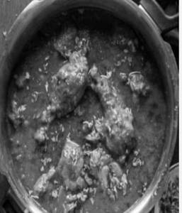 Chicken Home Tyle
