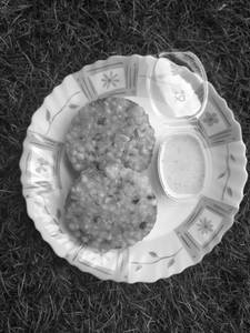 Sabudana Wada