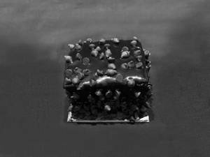 Chocochip Pastry
