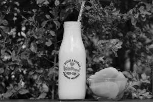 Mango Alphonso Shake