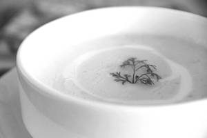 Cream of Mushroom Soup 