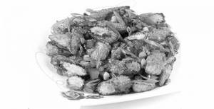 Babycorn 65