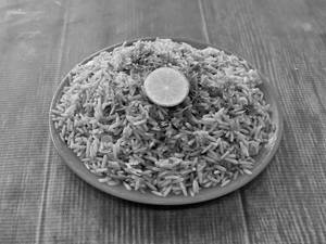 Masala Khichadi