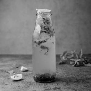 Virgin Mojito