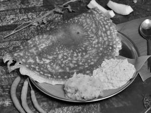 Loni Dosa