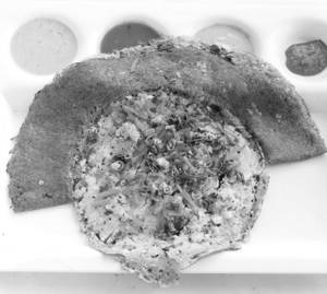Upma Pesara