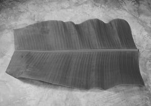 Banana Leaf (1 Pc)