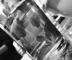 Mint Tea