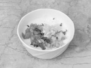 Plain Curd