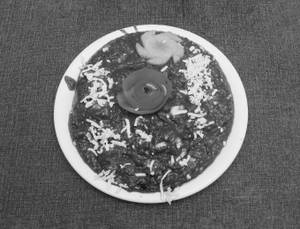 Palak Paneer