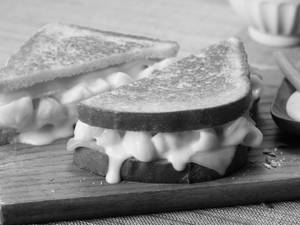 Cheese Sandwich