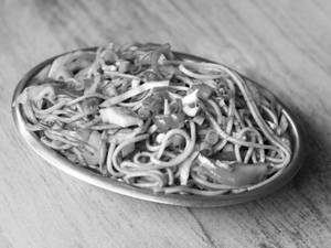 Veg Hakka Noodles
