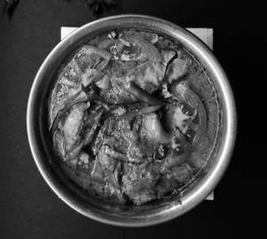 Paneer Do Pyaza