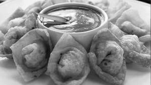 Chicken Fried Wontons