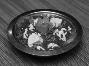 Palak Paneer