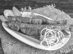 Kaaney Fish Tawa Fry [Lady Fish]